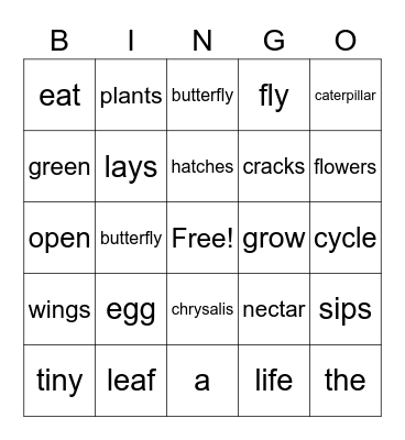 G1 U4 W4 Life Cycle of a Butterfly Bingo Card