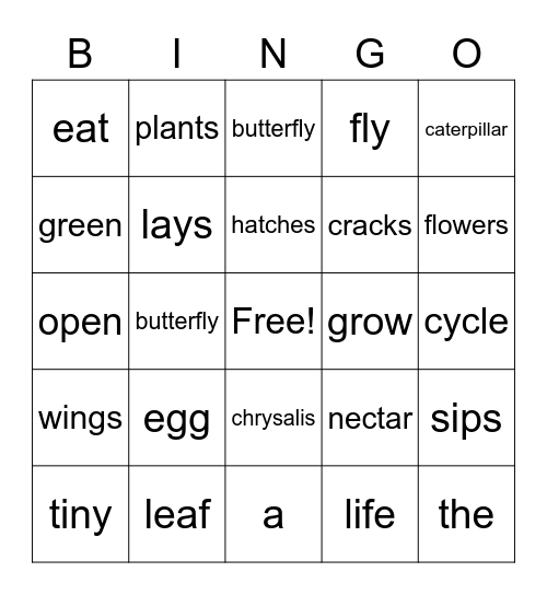 G1 U4 W4 Life Cycle of a Butterfly Bingo Card