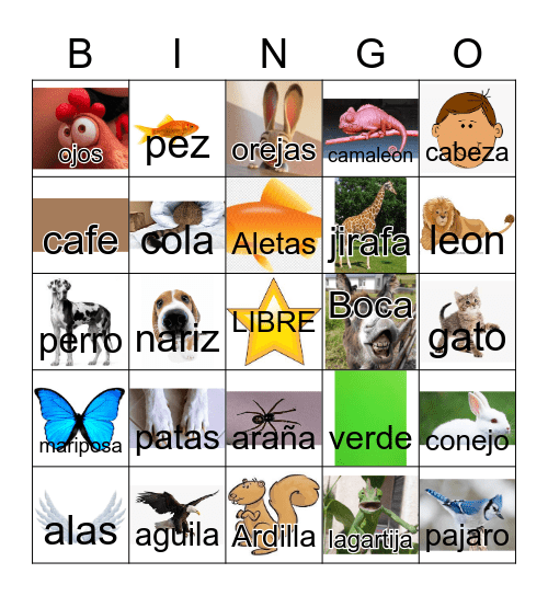 Animales y Partes del Cuerpo Bingo Card