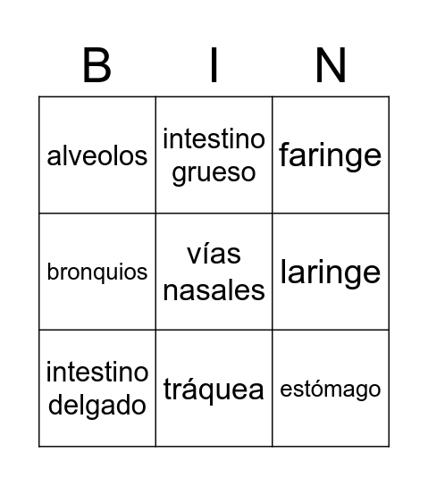 Sistema respiratorio y digestivo Bingo Card