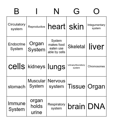 Organ Systems and Organs Bingo Card