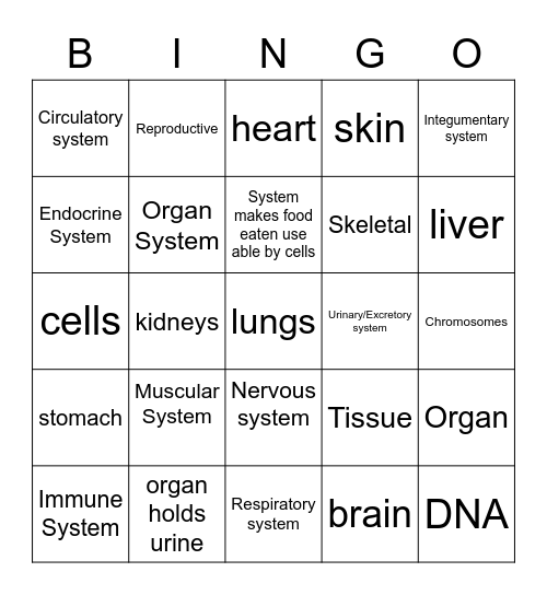 Organ Systems and Organs Bingo Card