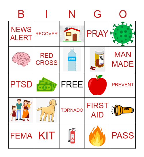 DISASTER PLANNING Bingo Card