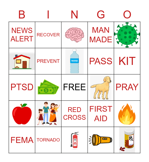 DISASTER PLANNING Bingo Card