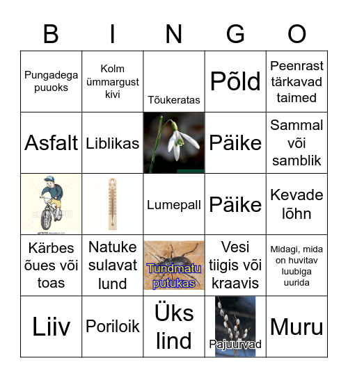 Kevade märkamise BINGO Card
