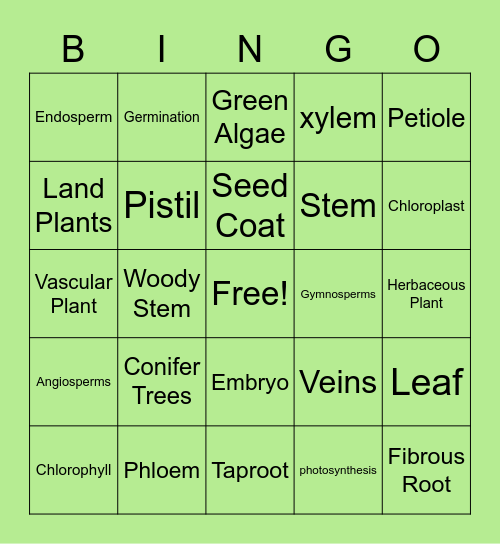 Module 9 Science Vocab Bingo Card