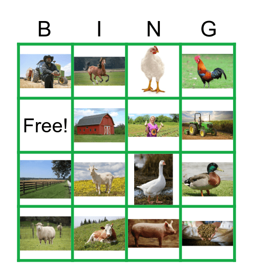 Farm Aminals Bingo Card