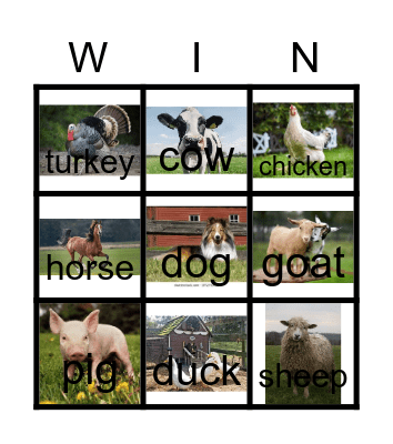 Farm Animals Bingo Card