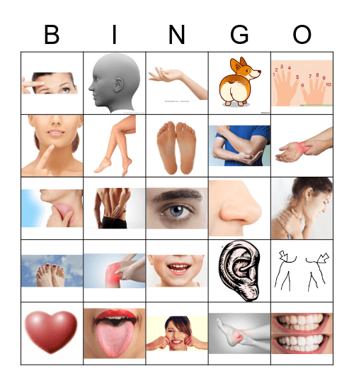 LES PARTIES DU CORPS  Bingo Card