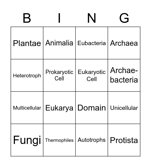 Domains and Kingdoms Bingo Card
