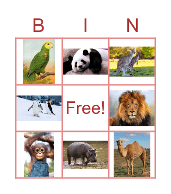 Animals Bingo Card