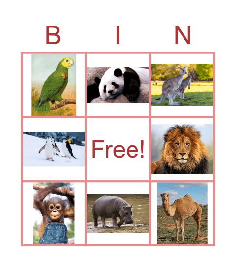 Animals Bingo Card