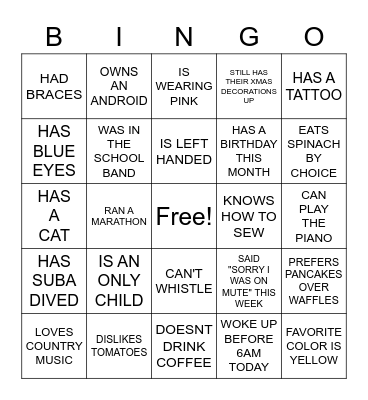 Icebreaker Bingo Card