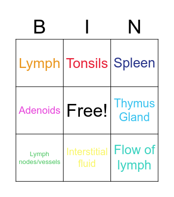 Lymphatic System Bingo Card