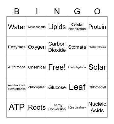 Photosynthesis & Cellular Respiration Bingo Card
