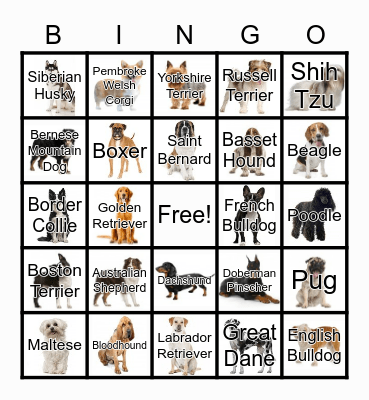 NATIONAL PUPPY DAY CARD #1 Bingo Card