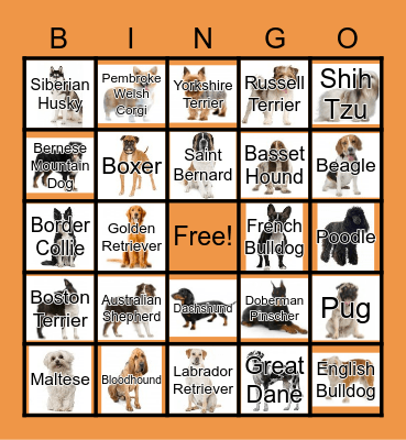 NATIONAL PUPPY DAY Bingo Card