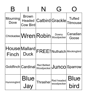 Birds Bingo Card