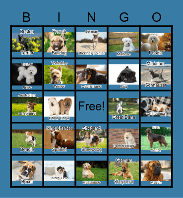 NATIONAL PUPPY DAY #2 Bingo Card