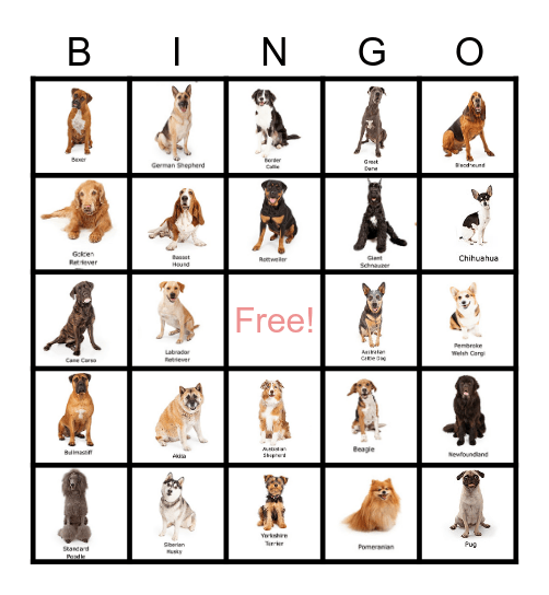 NATIONAL PUPPY DAY #3 Bingo Card