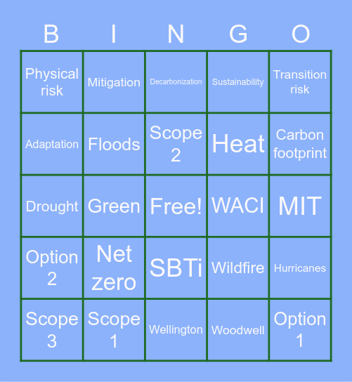 Net Zero Bingo Card