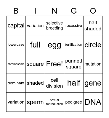 Genetics Review Bingo Card