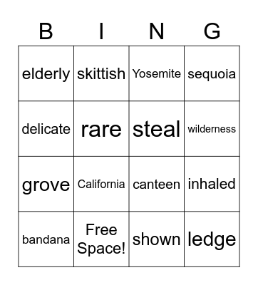 Camp Time in California Bingo Card