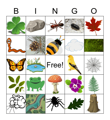 Nature Hunt Bingo Card