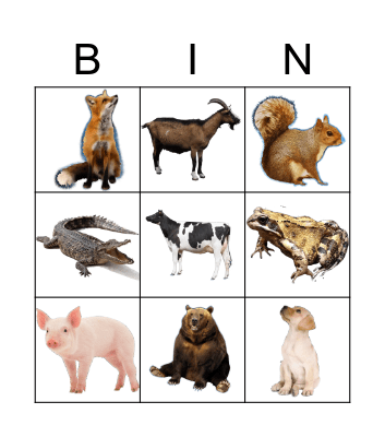 ANIMALS Bingo Card