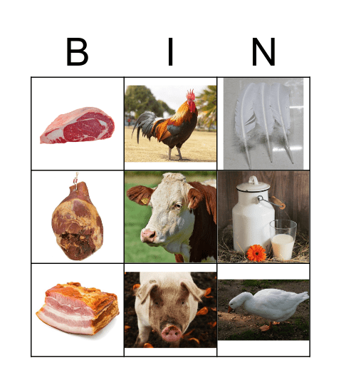 Bauernhoftiere - Was geben uns die Bauernhoftiere? Bingo Card