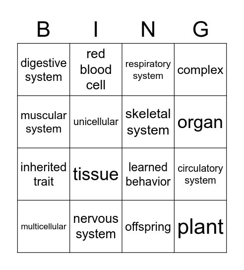 Human Body and Genetics Bingo Card
