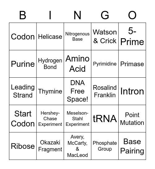 DNA Replication & Protein Synthesis Bingo Card