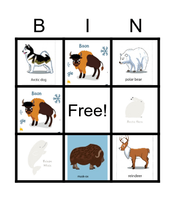 Arctic Animals Bingo Card