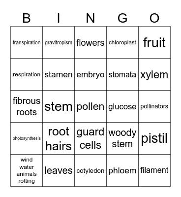 Plant Structures and Reproduction Bingo Card