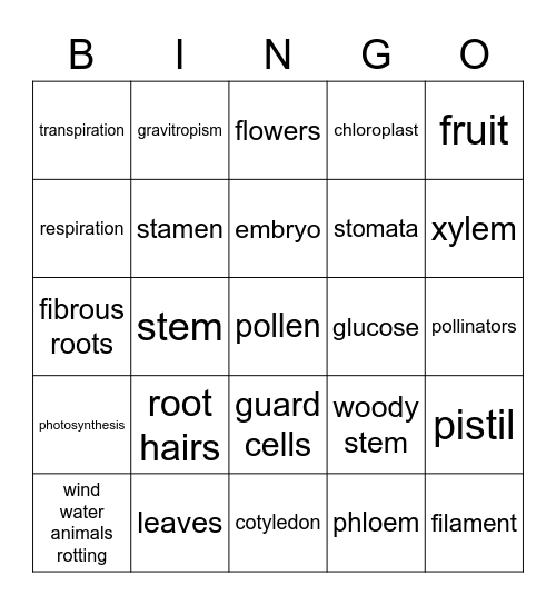 Plant Structures and Reproduction Bingo Card