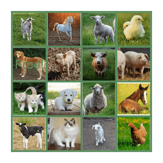 ZVÍŘATA A JEJICH MLÁĎATA Bingo Card