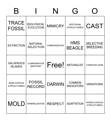 UNIT 8 EVOLUTION AND DIVERSITY Bingo Card