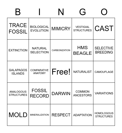 UNIT 8 EVOLUTION AND DIVERSITY Bingo Card