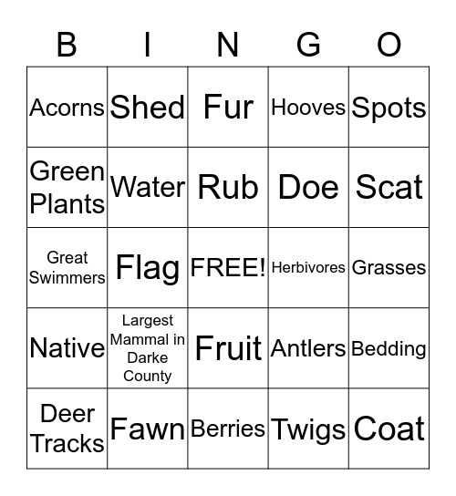 White-Tailed Deer Bingo  Bingo Card