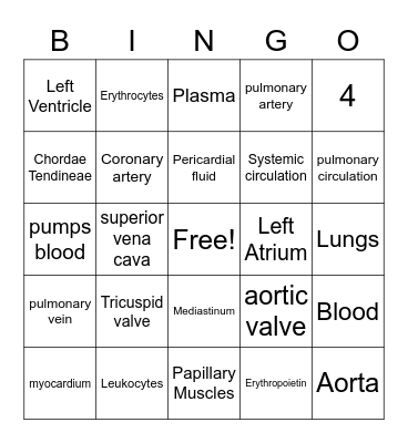 HEART Anatomy BINGO Card