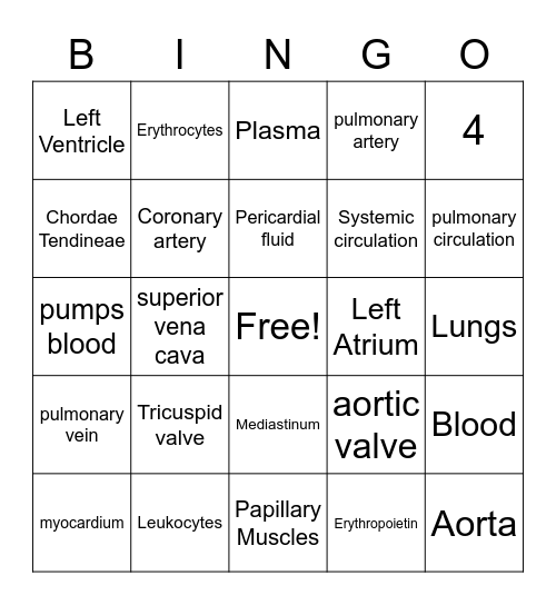 HEART Anatomy BINGO Card