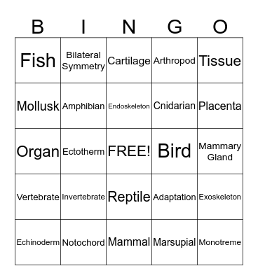 Introduction to Animals Bingo Card