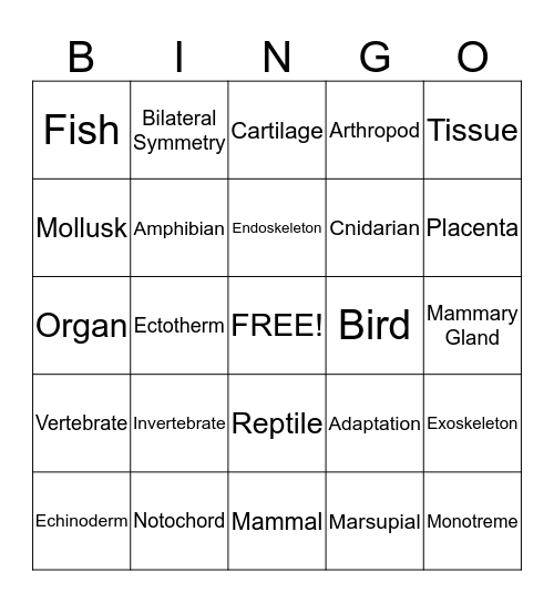 Introduction to Animals Bingo Card