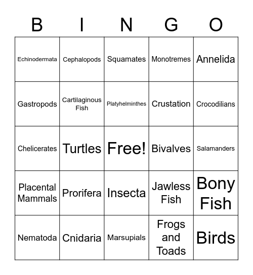 Animal Phylum Bingo Card