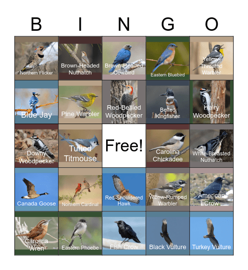 Birding Bingo Card