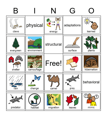 Adaptations Bingo Card