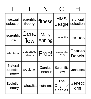 Evolution Bingo Card