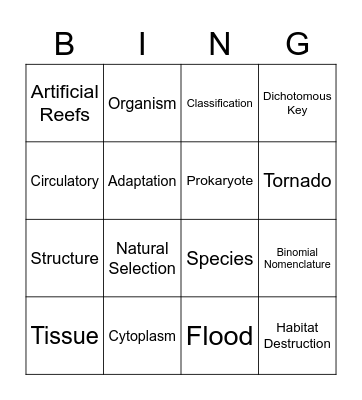 Organisms and Environments Bingo Card