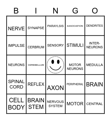 NERVOUS SYSTEM Bingo Card