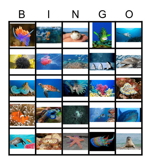 Under the Sea Bingo Card